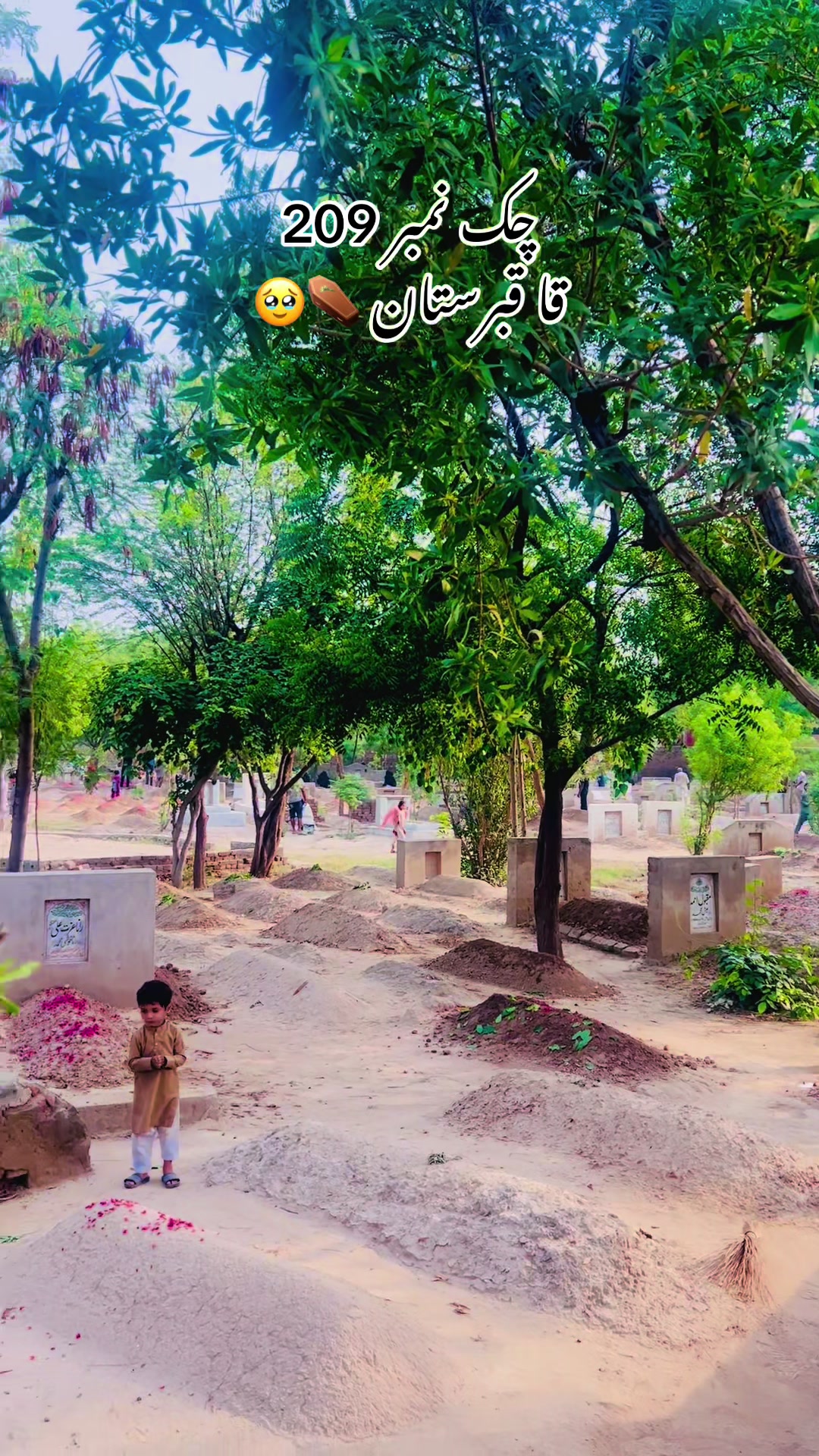 @merapind209