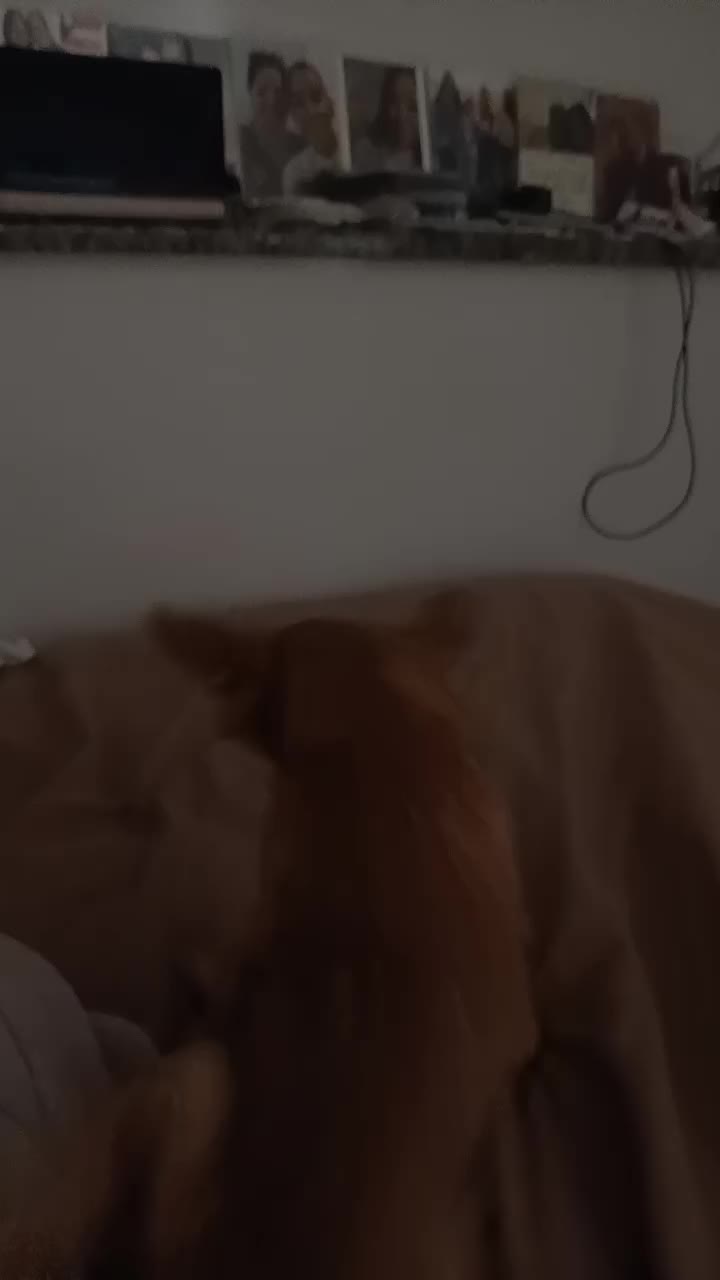 @JULIE