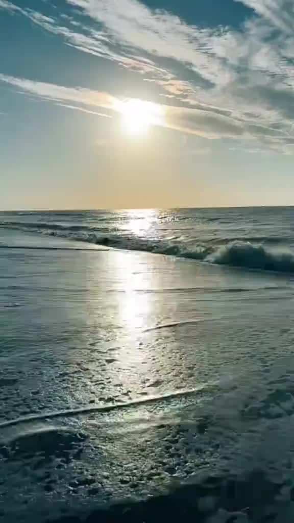 @celalekberov