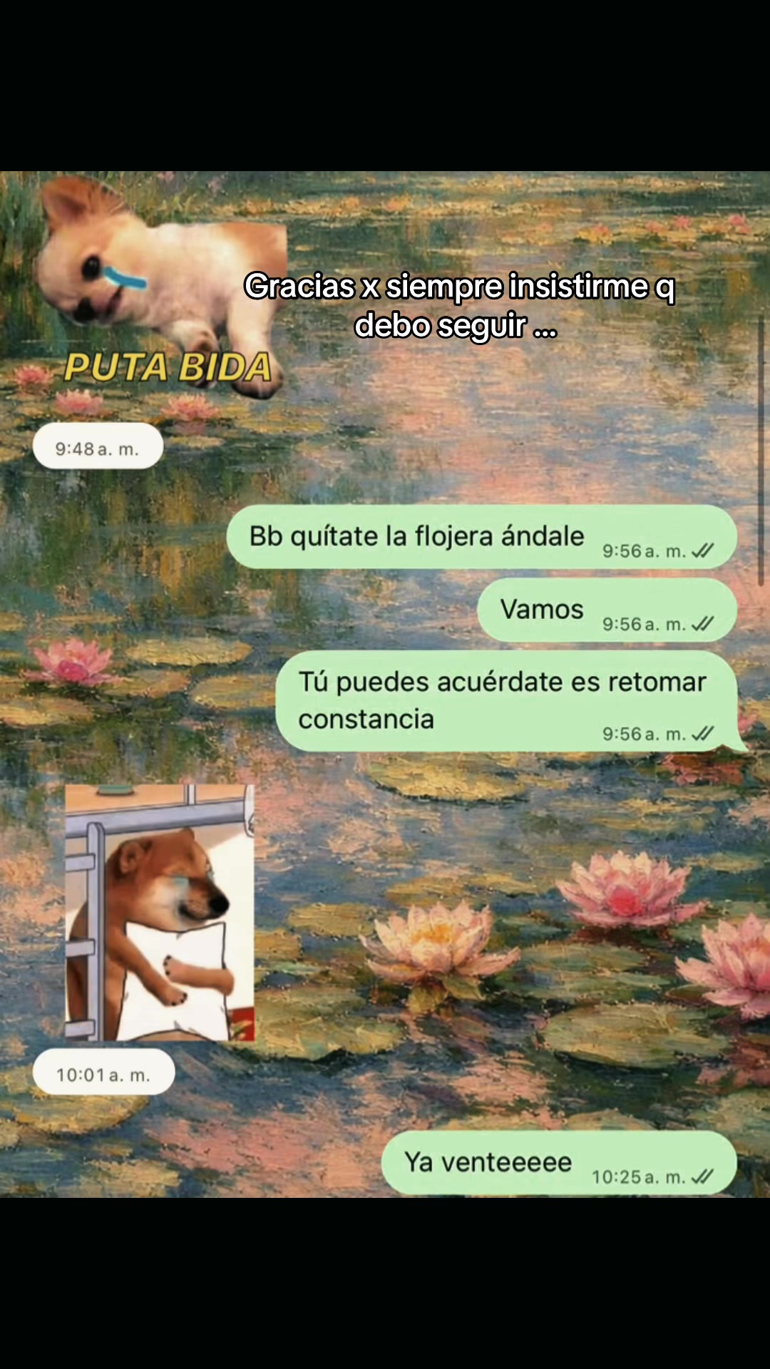 @Iza reyez