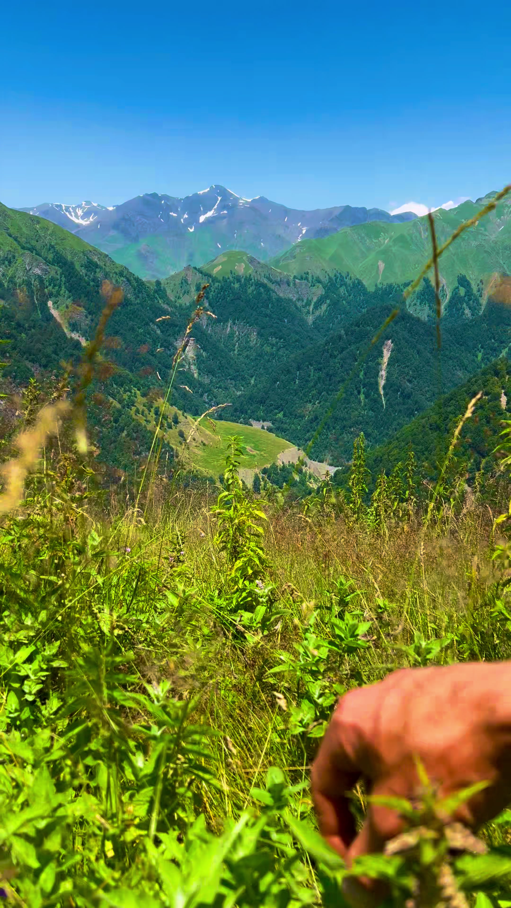 @𝑨𝒅𝒊𝒍𝒐𝒗🌿