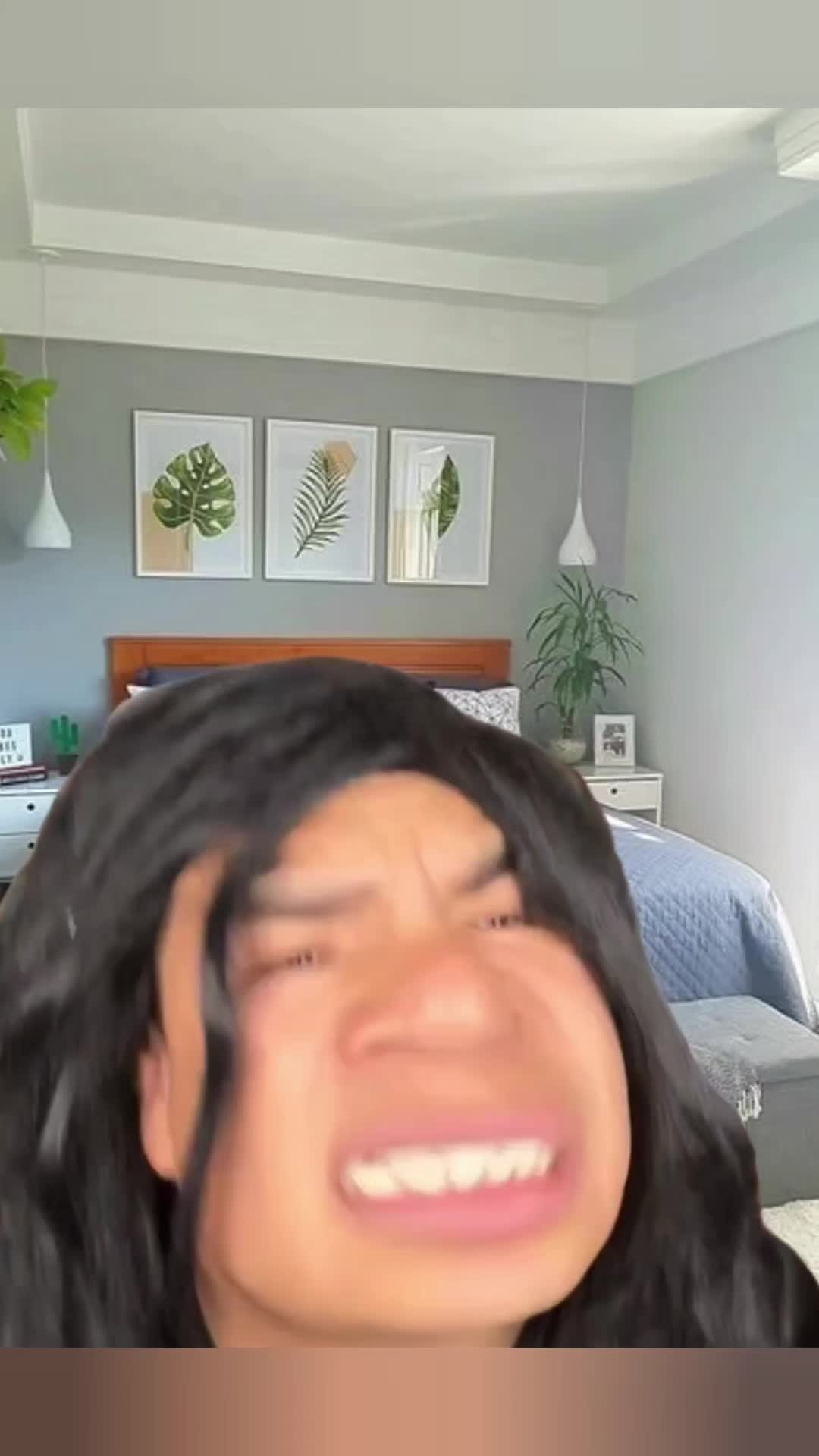 @🦗🦗Mexitachi🦗🦗