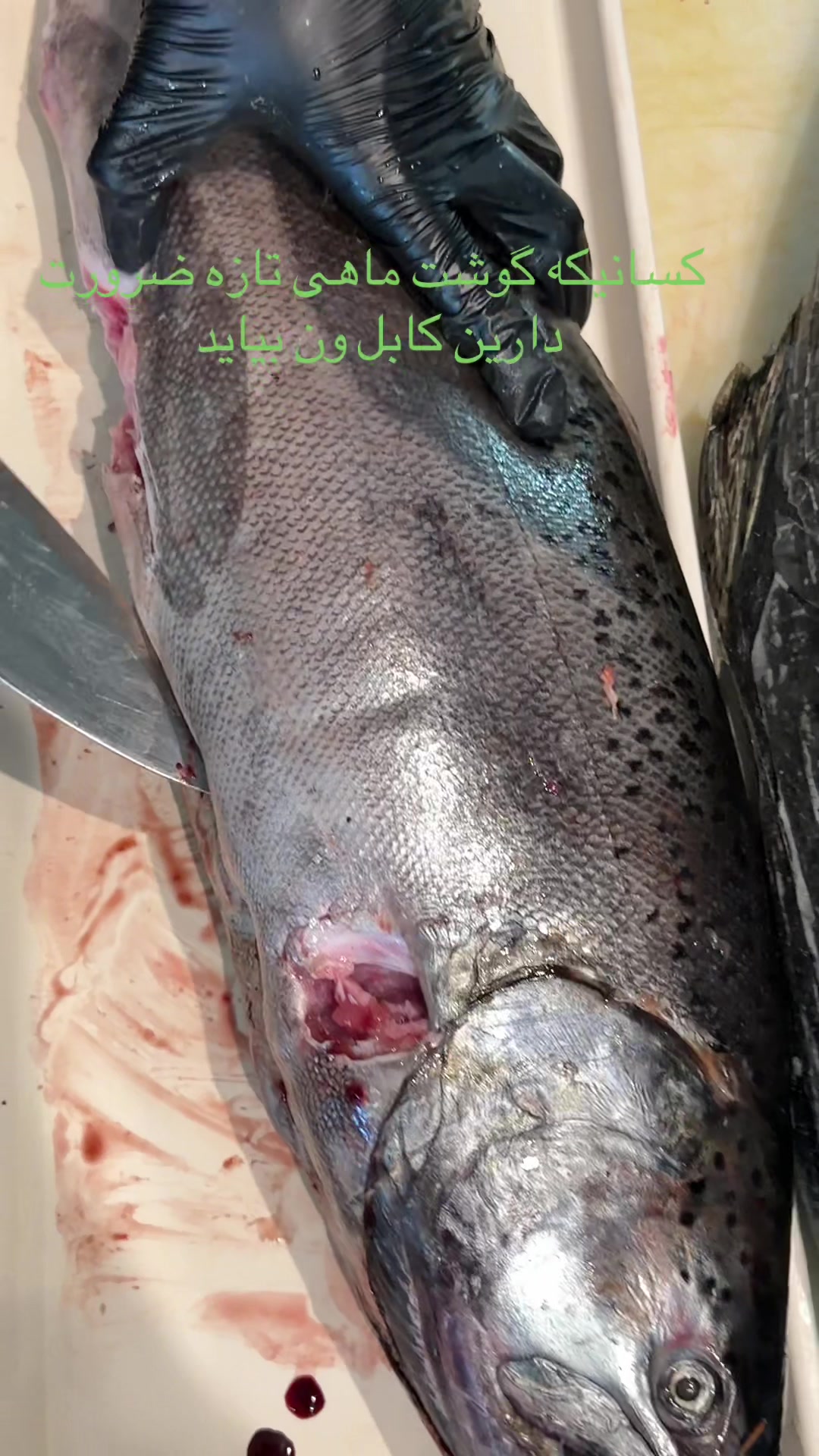 @kabulvansupermarket