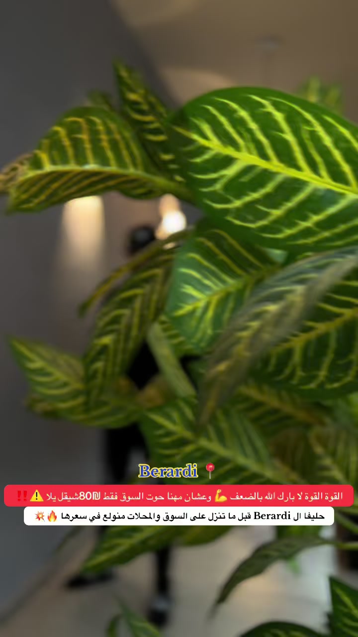 @مهنا ملابس واحذية رجالي