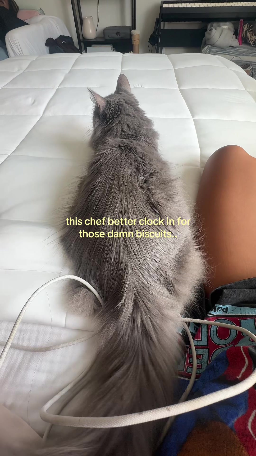 @SOPHIA NICOLE