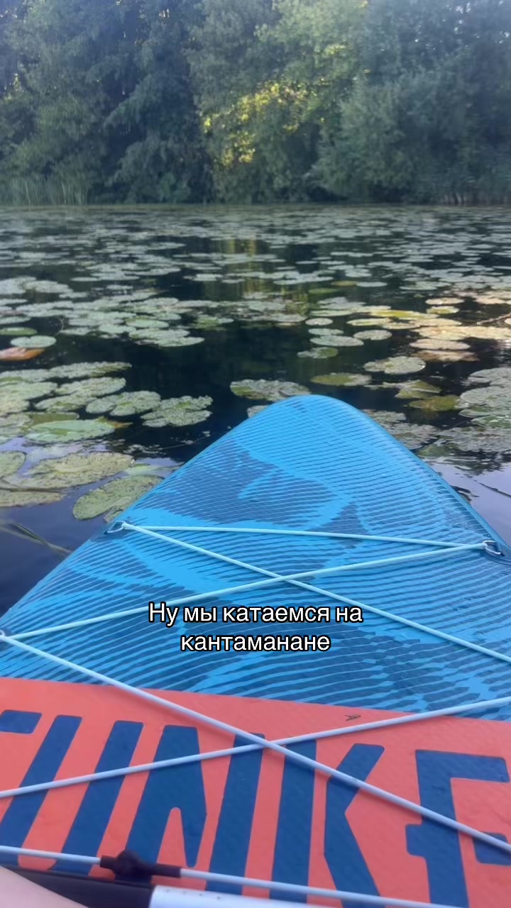 @Kali.so🐾