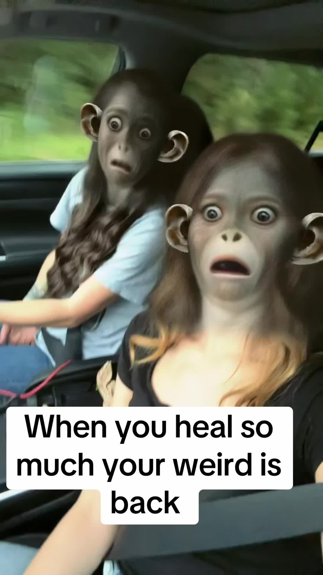 @Meagan Dollar