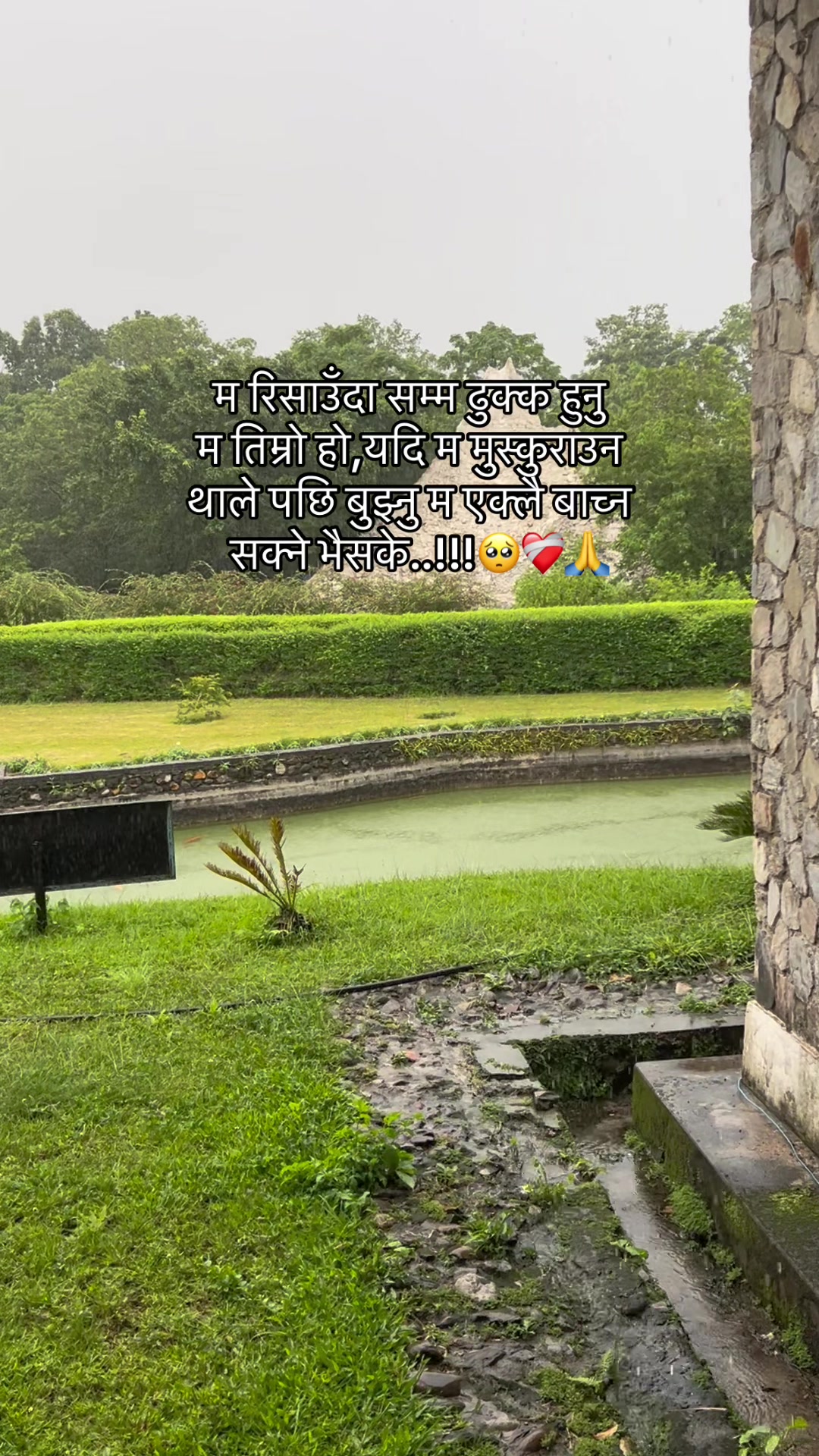 @☮️🕊️