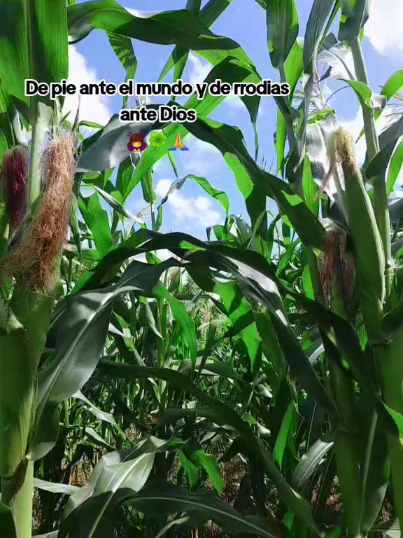 @Tu Nená 💫💗