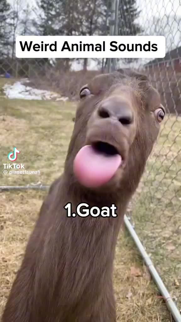 @AndreaMckinney 5.0