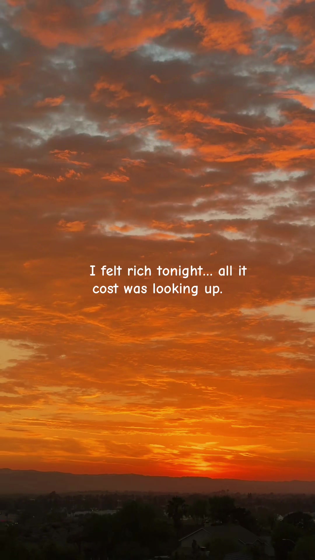 @🌅 Sunset Lori 🌅