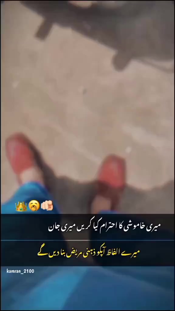 @کمانڈو پٹھان 🦁