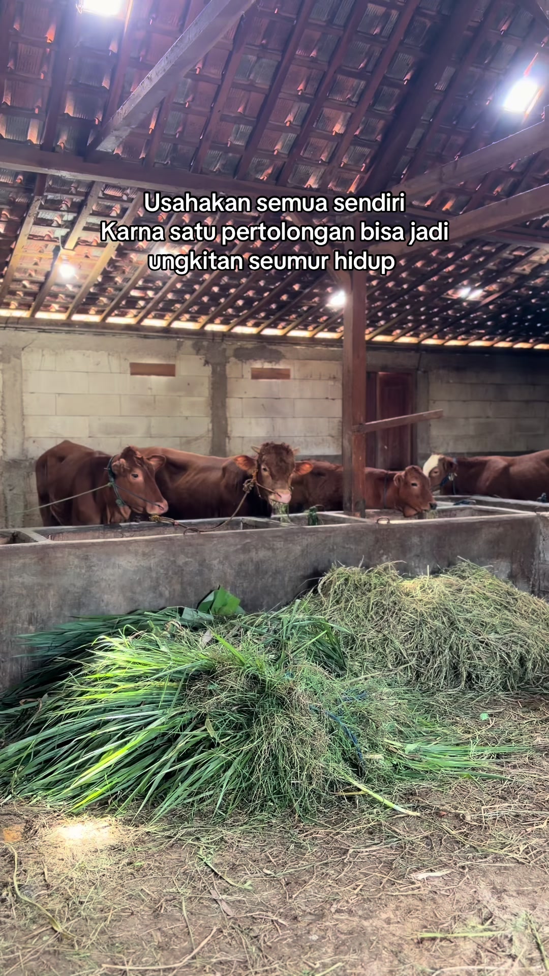 @zero farm