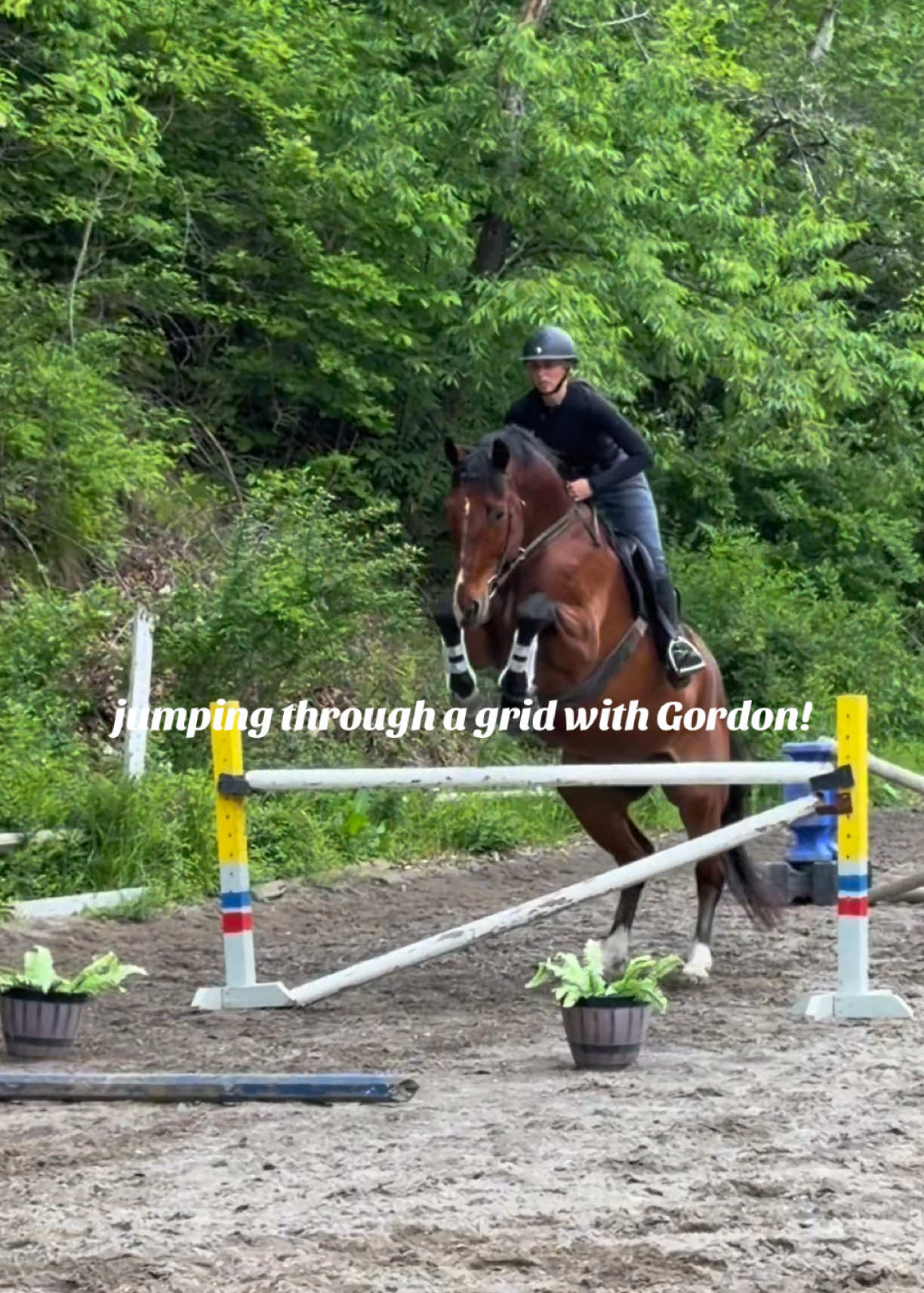 @Lunar Hill Equestrian