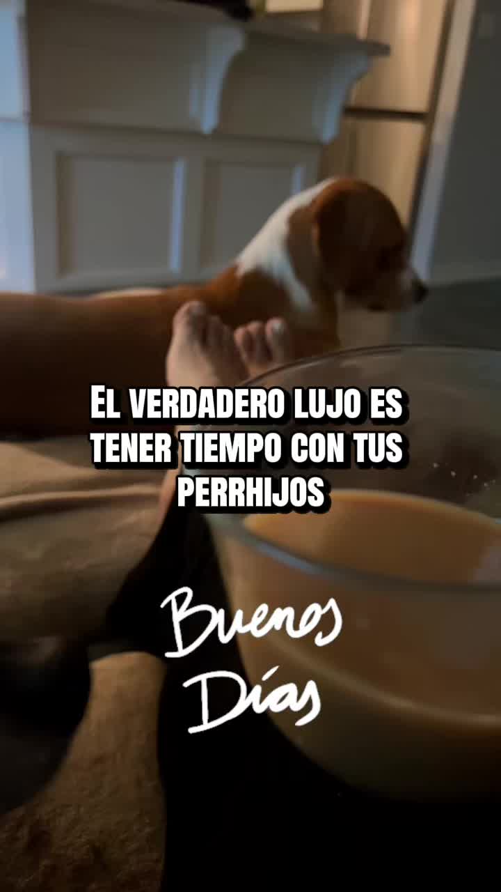 @Erika Dahud
