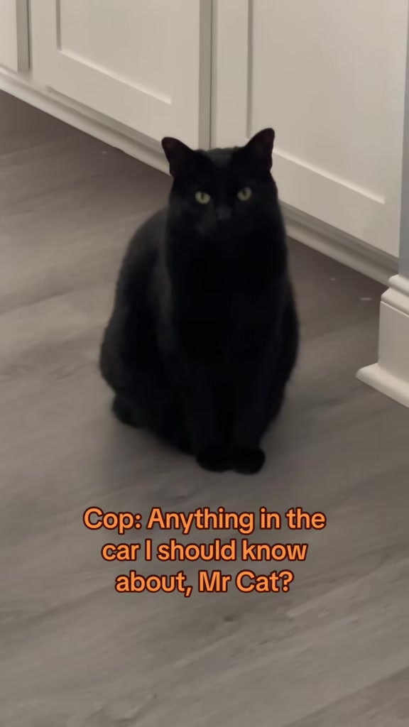 @CaptJackandCrew