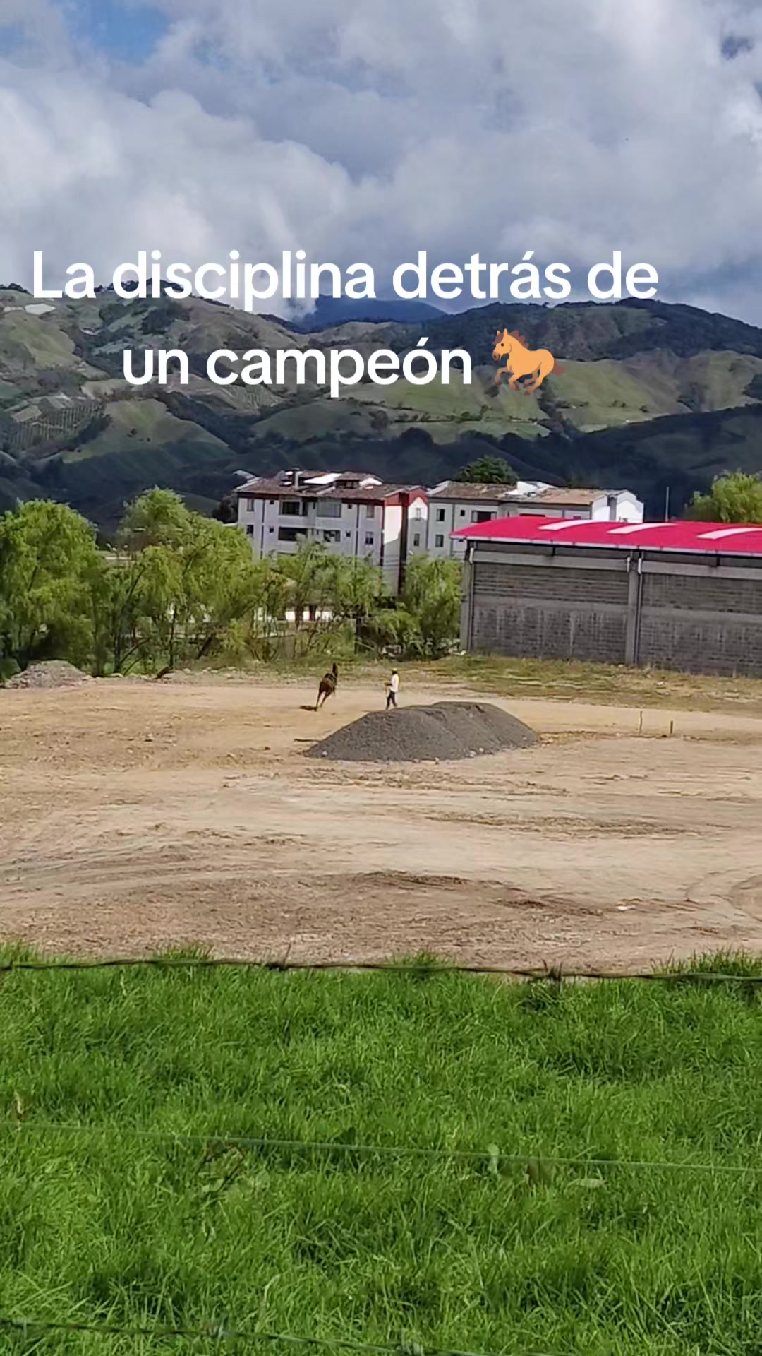 @MUNDO ANIMAL CURIOSO