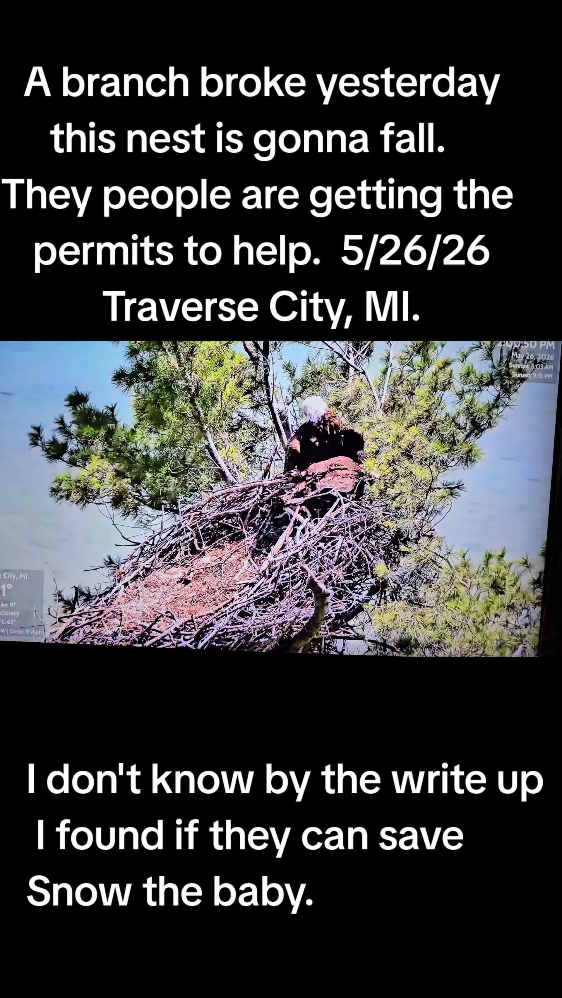 @llovelylenore🦅🦅🦅🦅