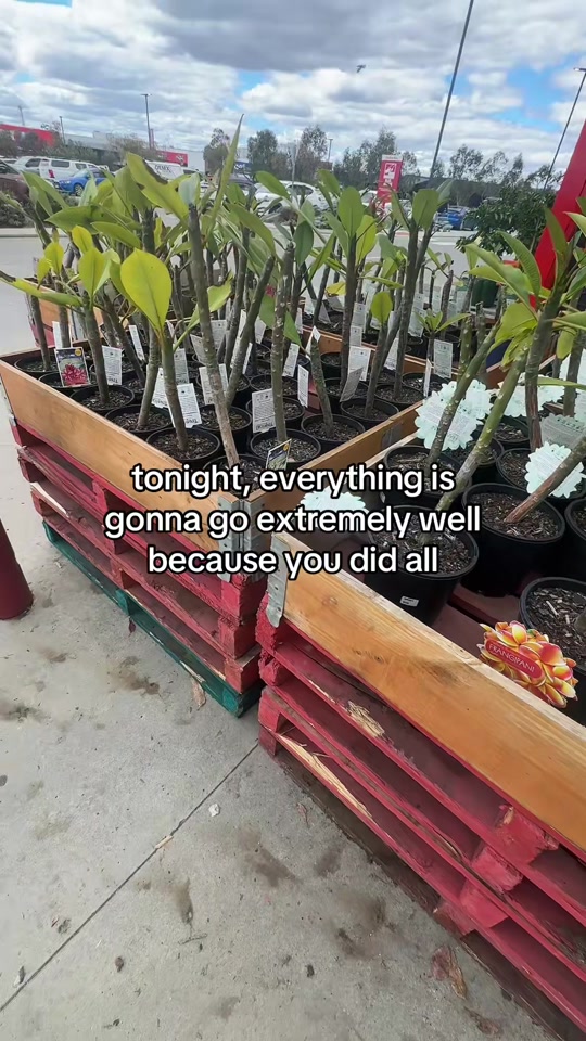 @Zach Bro