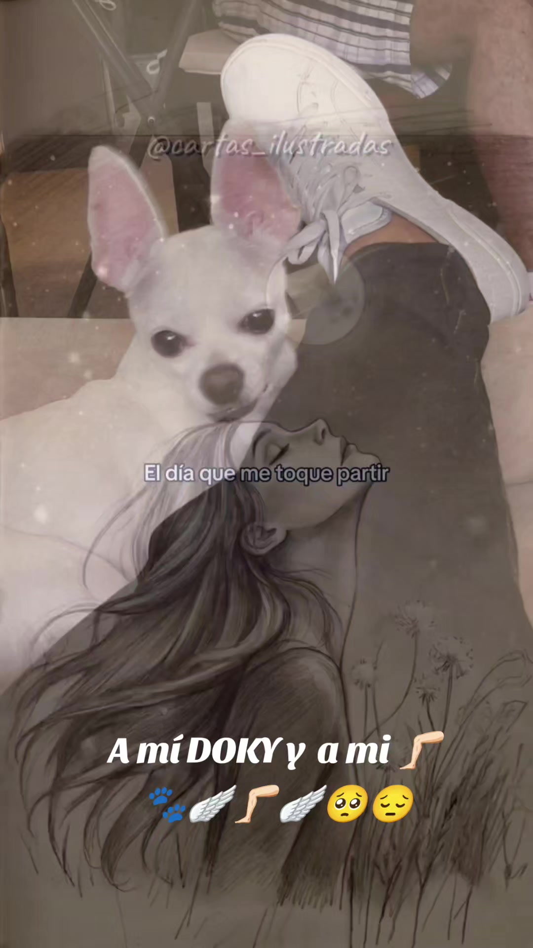 @LilyTajonar🦵🏻🪽😔