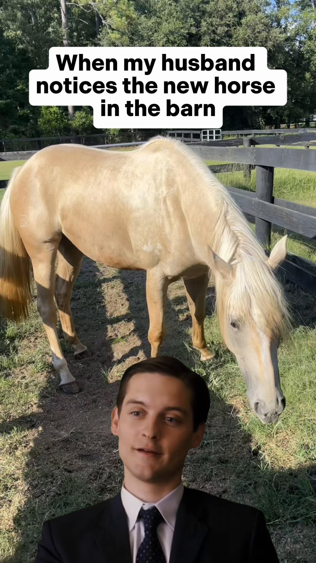 @corderoequine