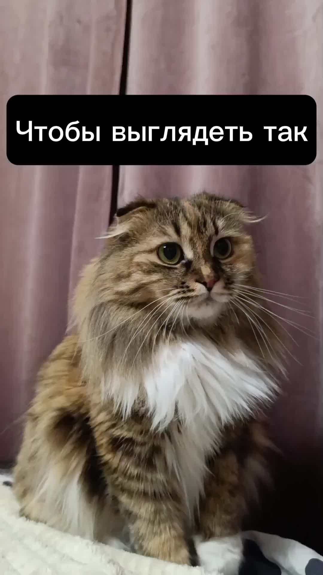 @фрося