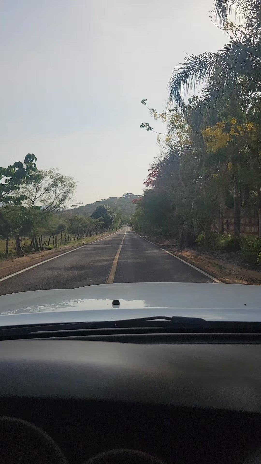 @🌹🎸🛩la flor de michoacan