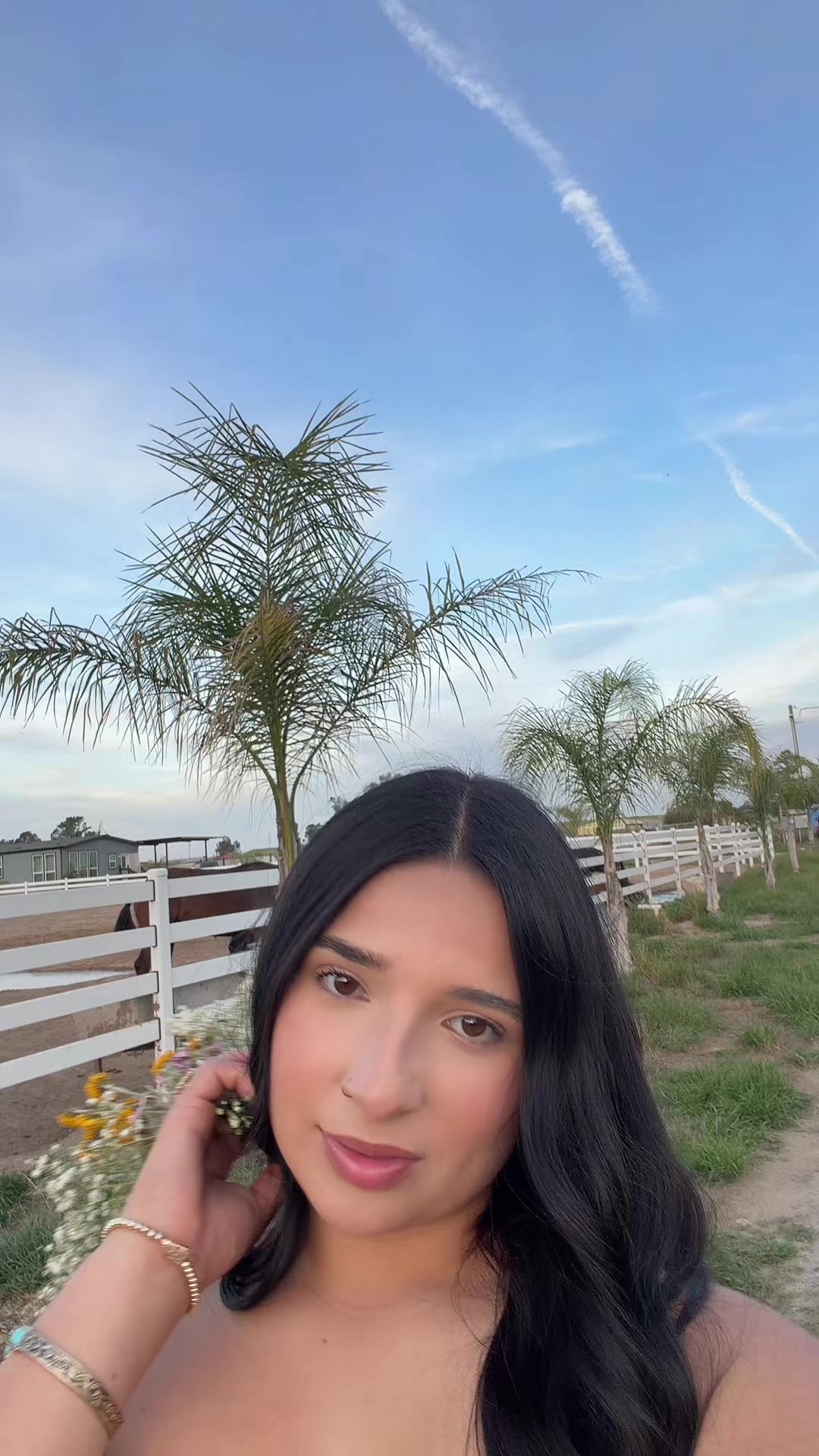 @francisca isabel