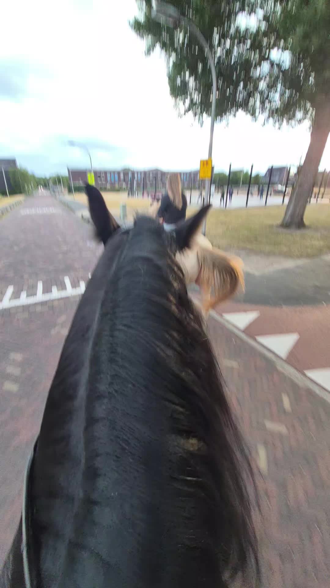 @🇳🇱Lana Van de schuur🇳🇱