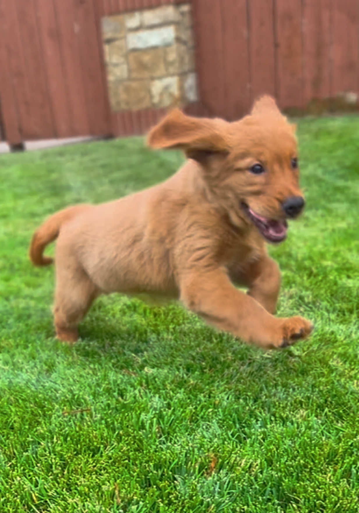 @Petland Oklahoma City