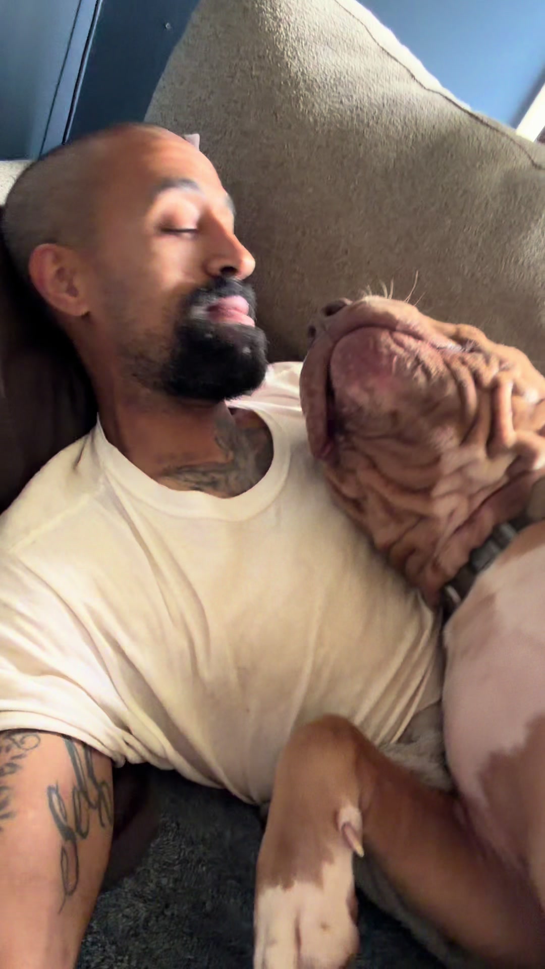 @DarkDynastyK9s