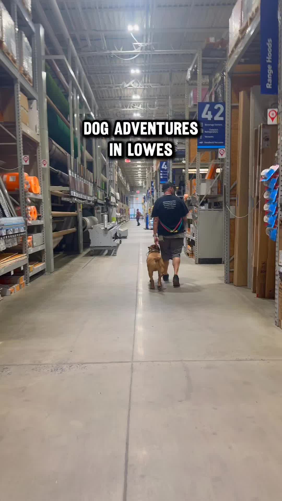 @Lost Boys K9 Academy