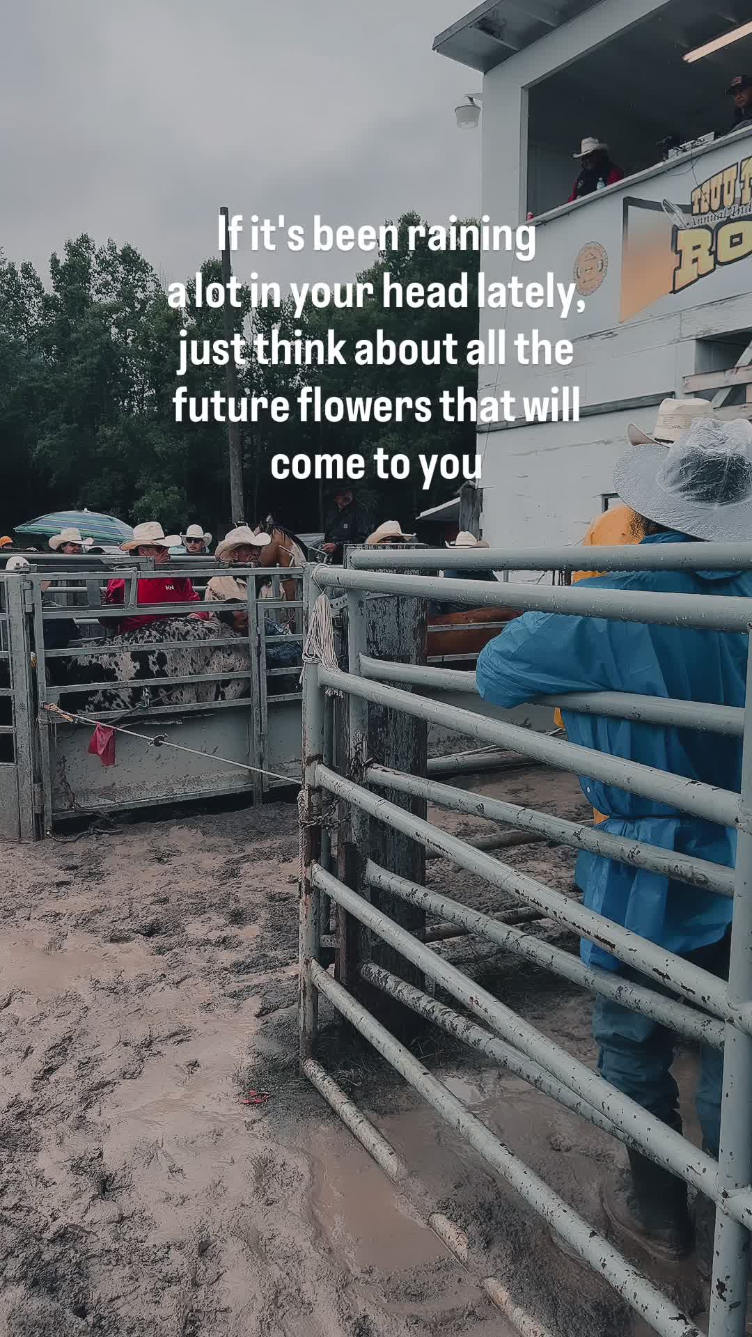 @The Cow Dude