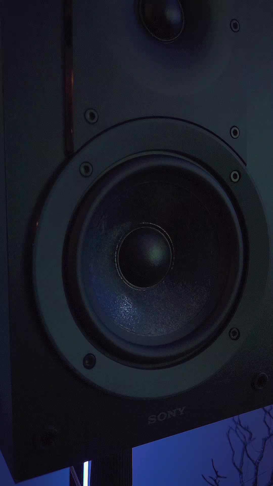 @Vinyl Destination