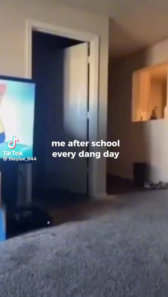 @maverick ash