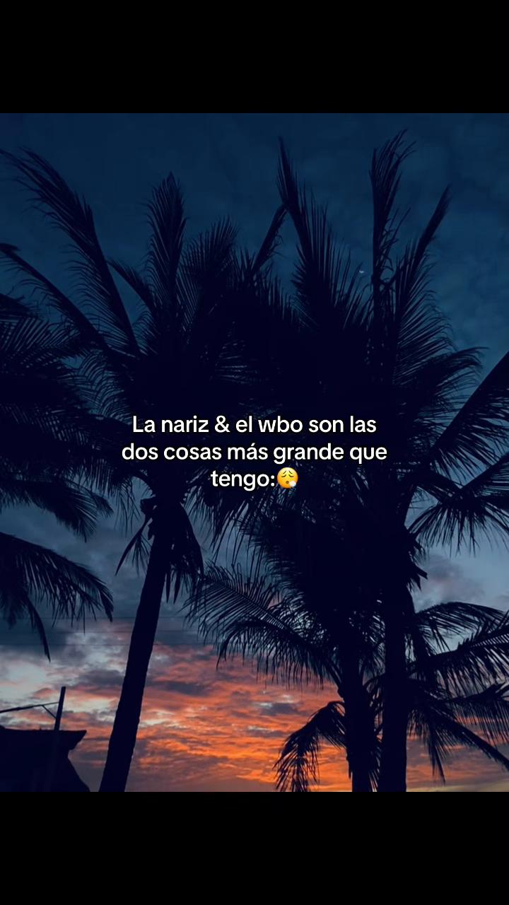 @soymoraito