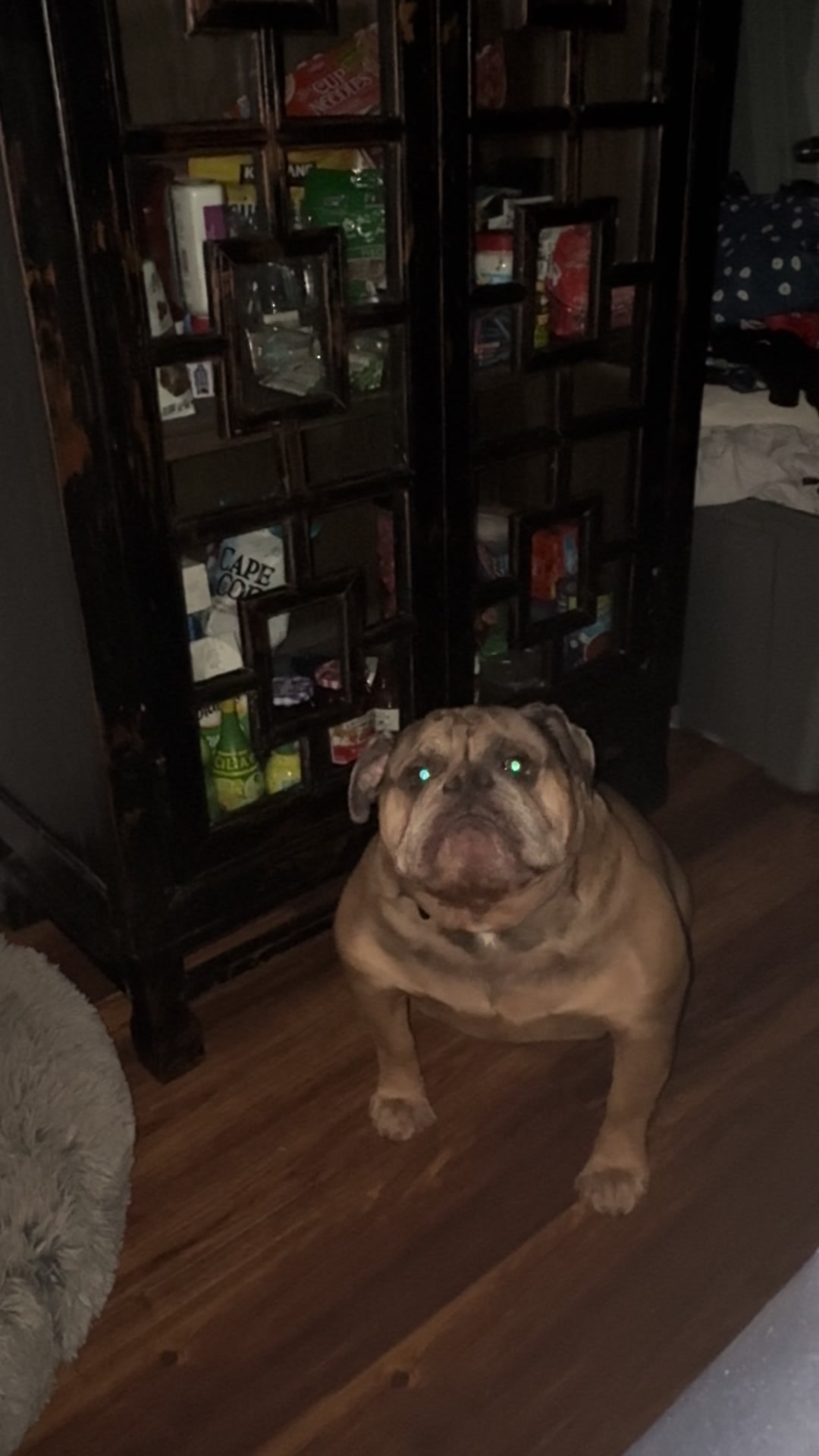 @barkleythabulldog