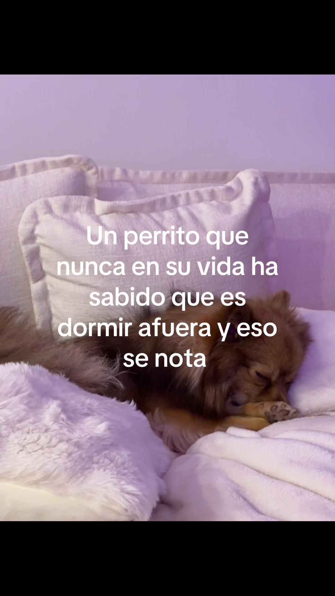 @salomebustamanteo