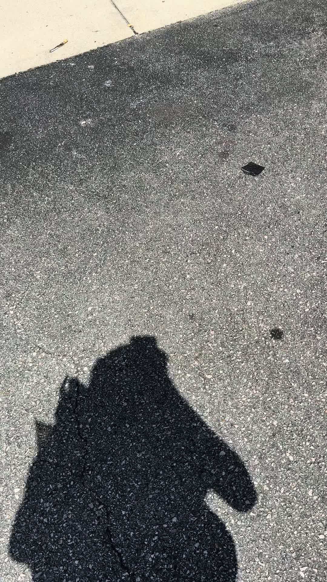 @Fyndi 💗