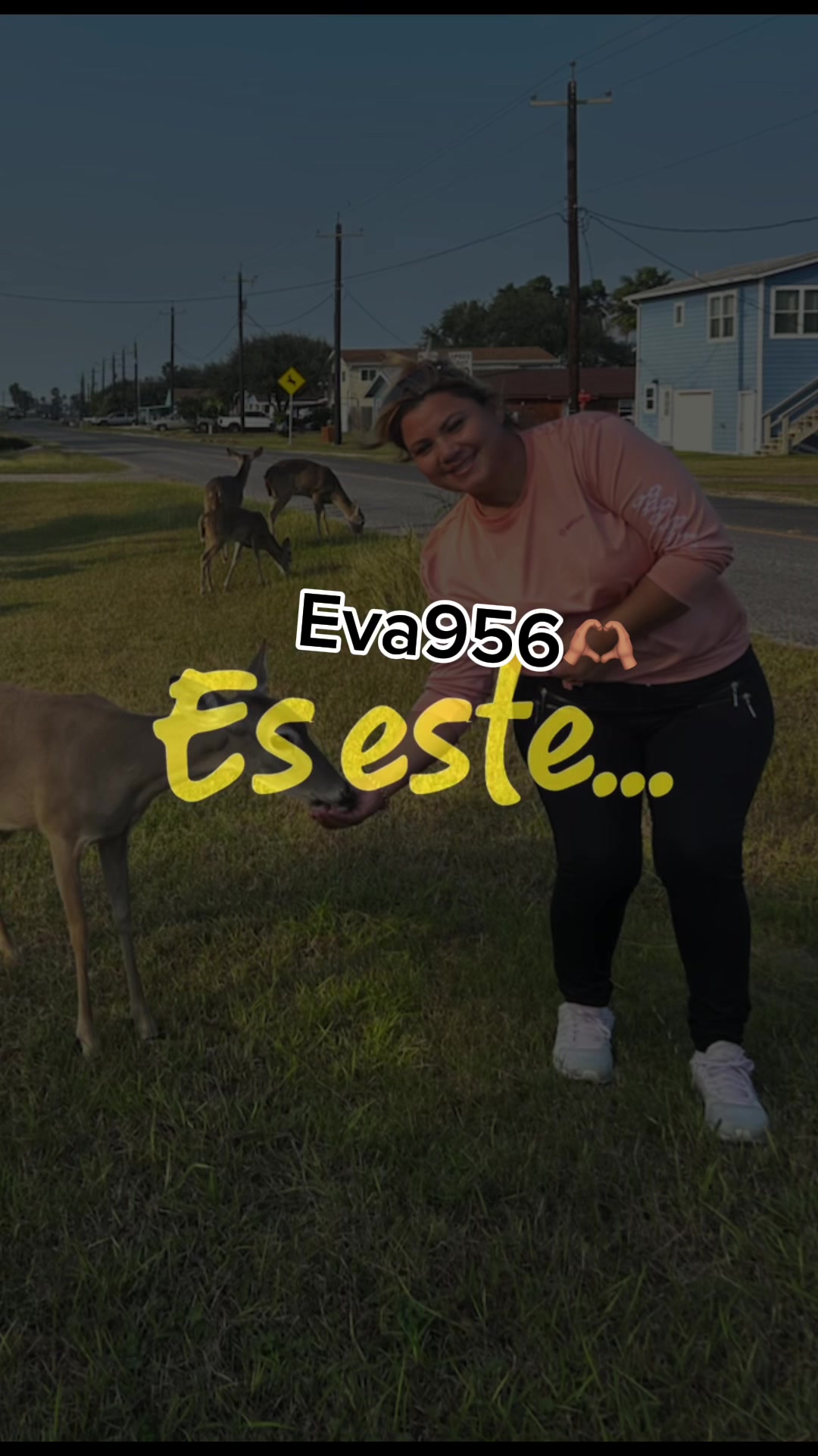 @Eva 956 🫶🏽