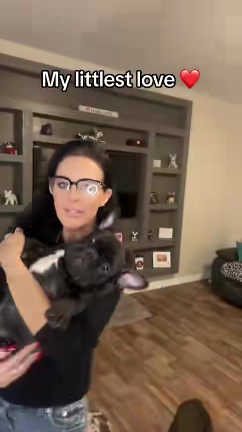 @Crazy4Frenchies