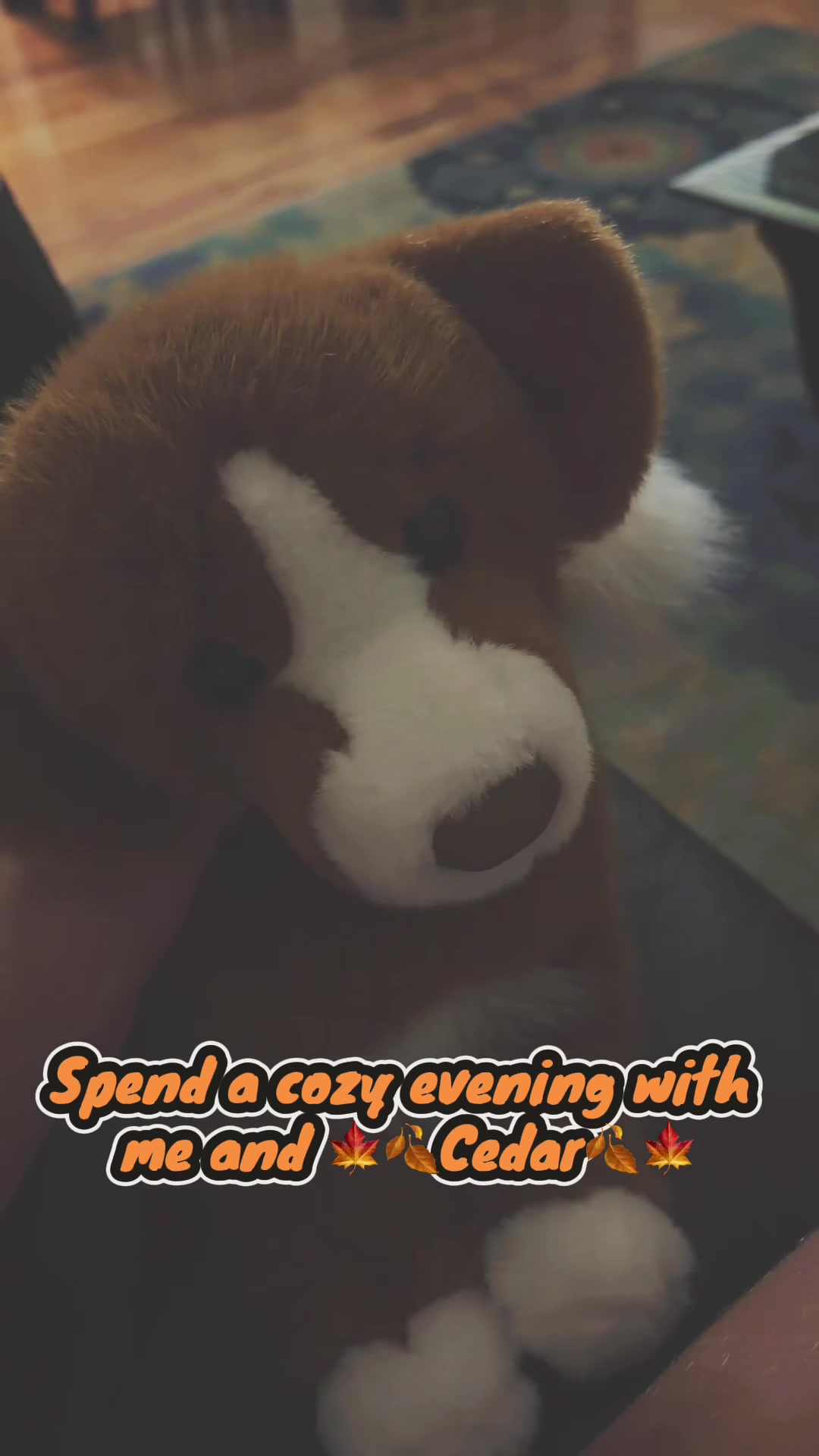 @🐟🦋💙ELLA💙🦋🐟