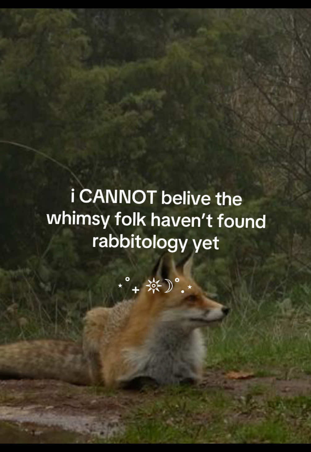 @𓆝 𓆟 𓆞 𓆝 𓆟 вєвє