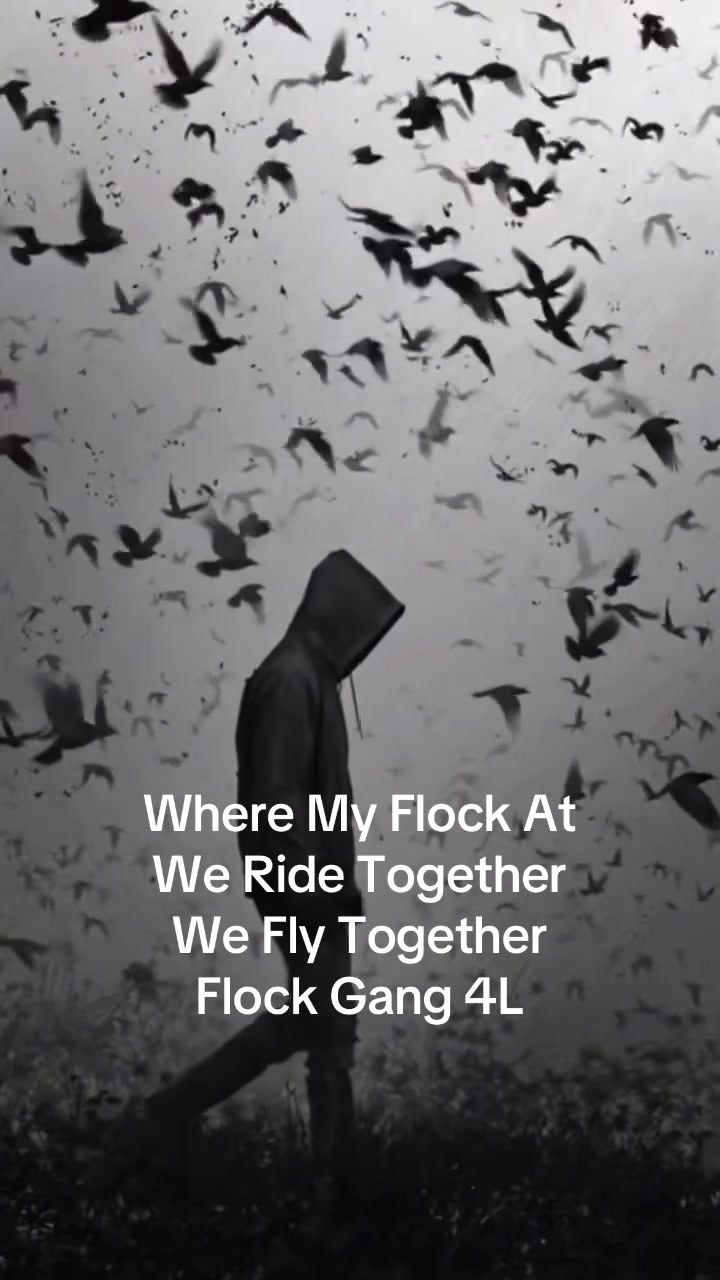 @Gr3y Goose