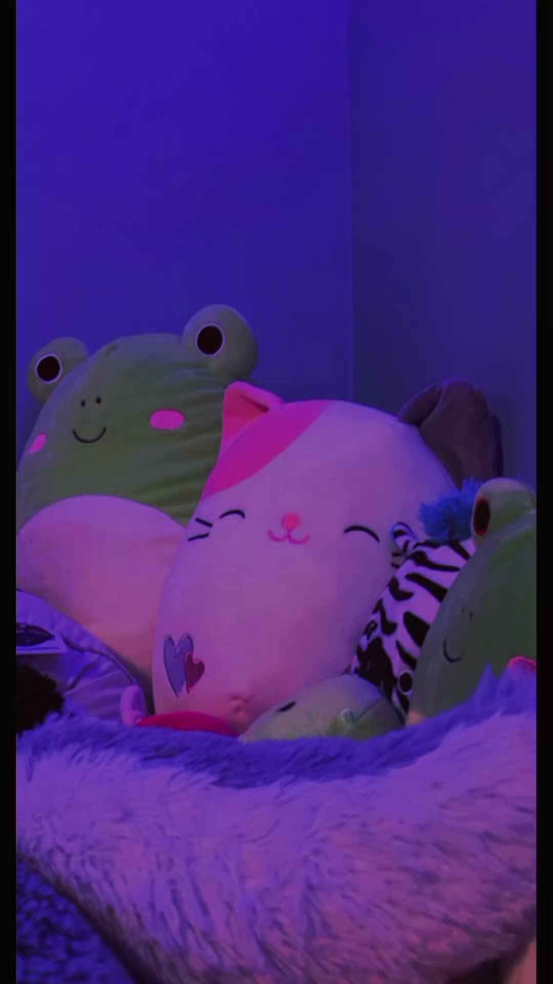 @мαяу