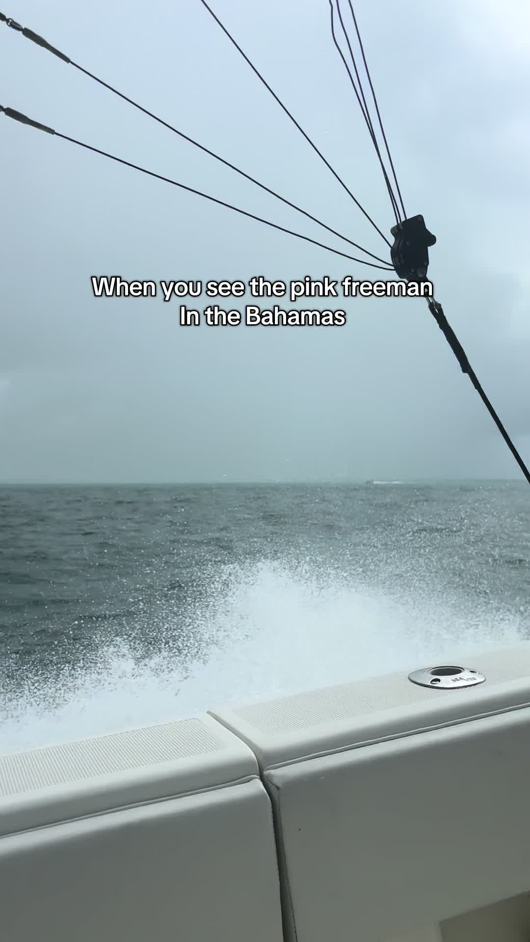 @🎣Dante