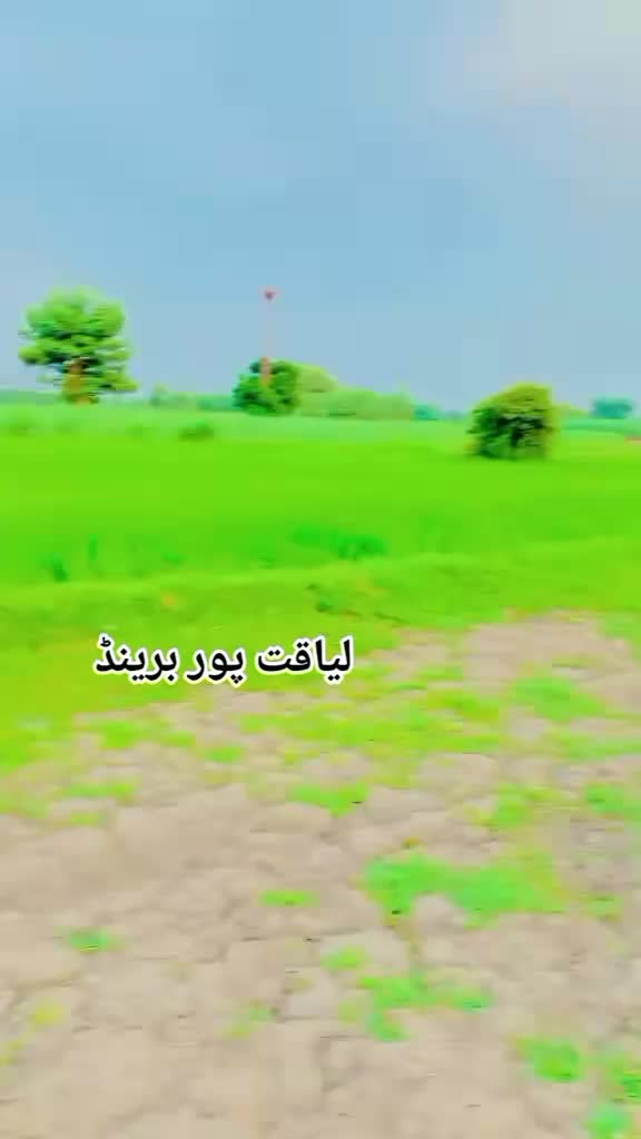 @Liaquatpur da King 💪