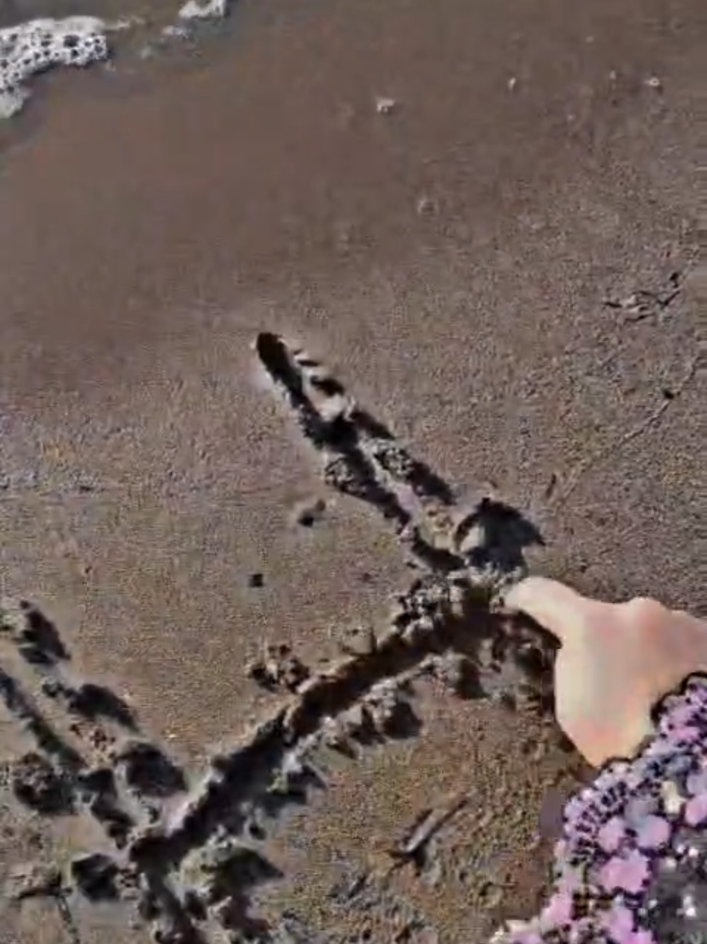 @♯̶الـ حݪۅهههۃة 𝓕🌸
