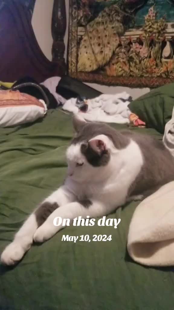 @Mommykins