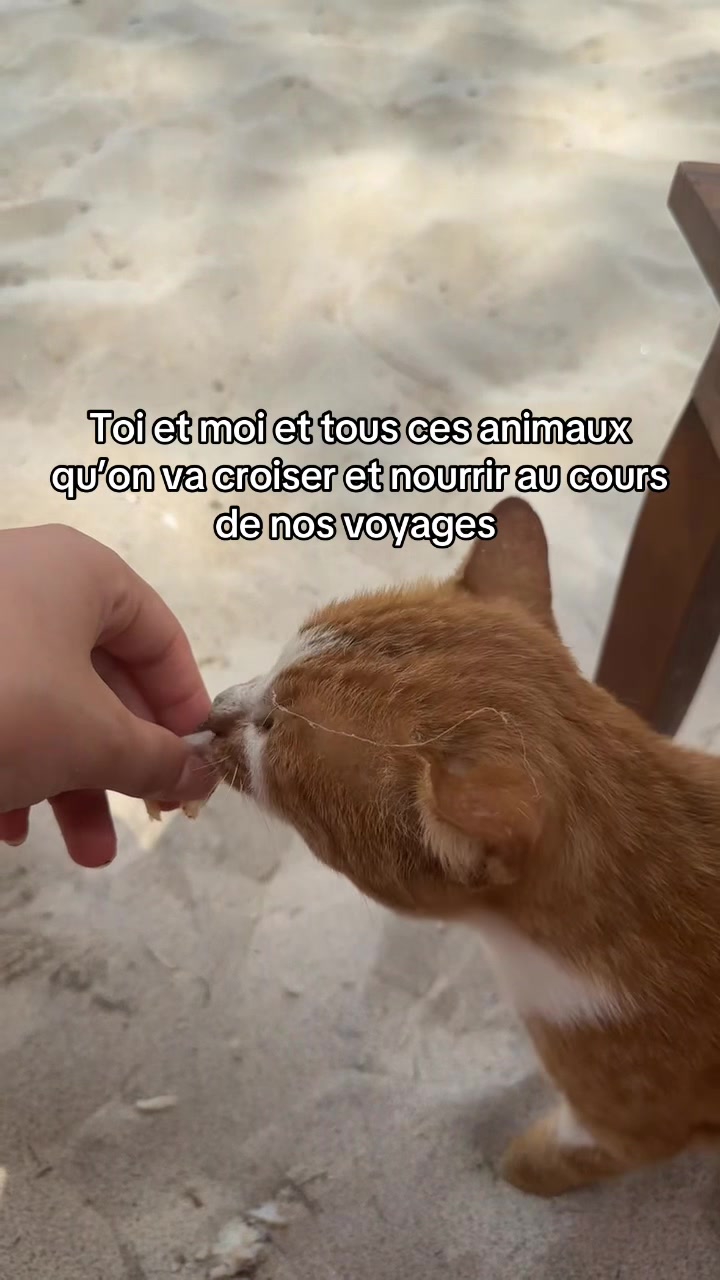 @djo🧚🏼♂️